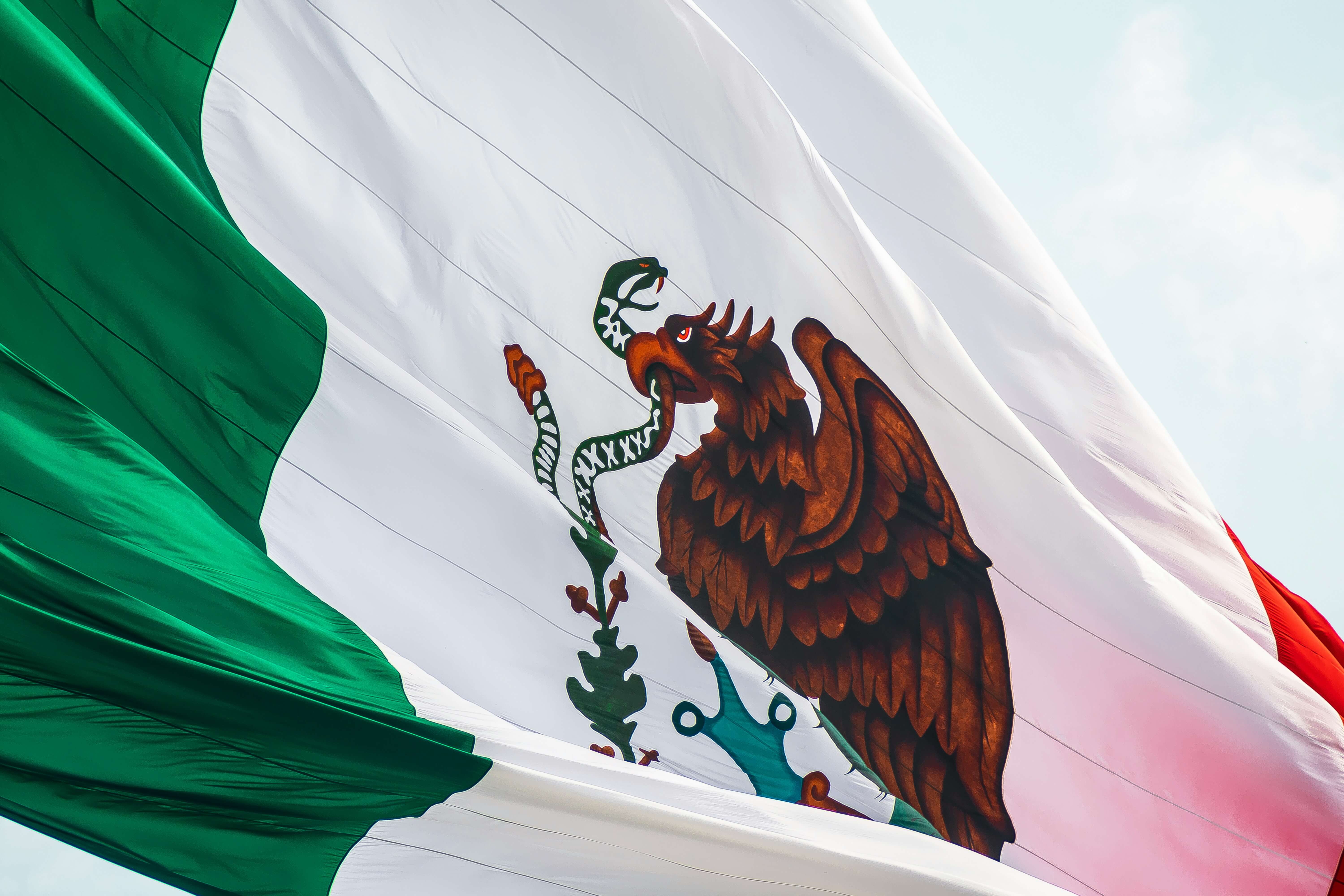 Mexican flag backdrop
